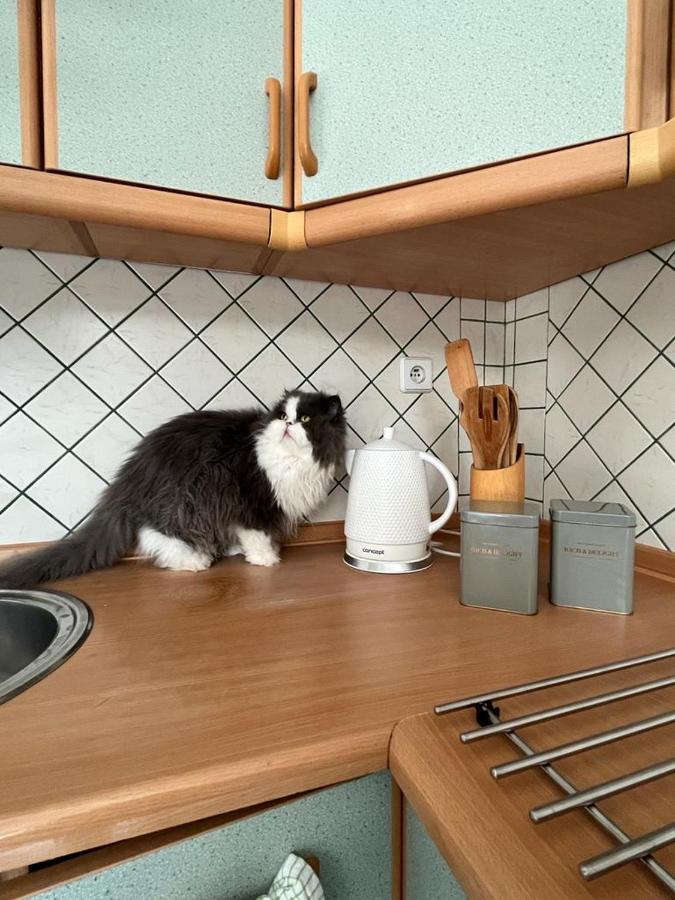 Willa Janina Jelenia Góra Kültér fotó